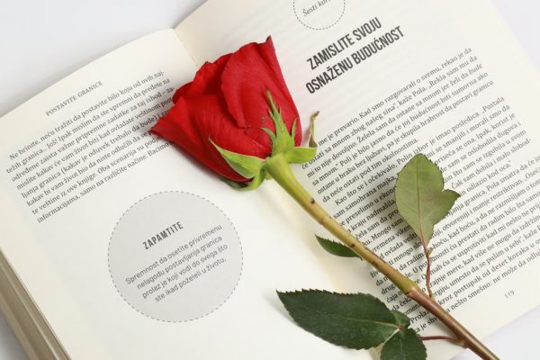 A vibrant red rose placed on the pages of an open book, offering a peaceful and romantic aesthetic.